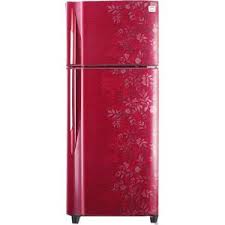 Godrej RT EON 240 P 3.3 Double Door 240 Litres Frost Free Refrigerator