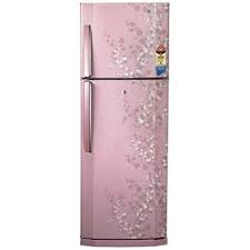 LG GL 254VEG4 240 Litres Double Door Refrigerator