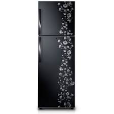 Samsung RT26FAJSAWX TL 253 Litres Double Door Frost Free Refrigerator
