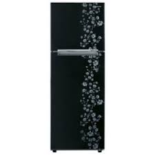 Samsung RT26FARZABX 234 Litres Double Door Refrigerator