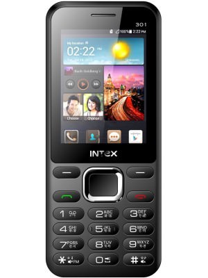 Intex Fame 301