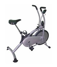 Cruze Platinum Upright Bike CFPB 100