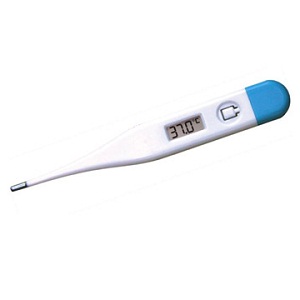 Medi Norm CE0197 Digital Thermometer