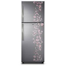 Samsung RT27JAMSESZ Double Door 253 Litres Frost Free Refrigerator