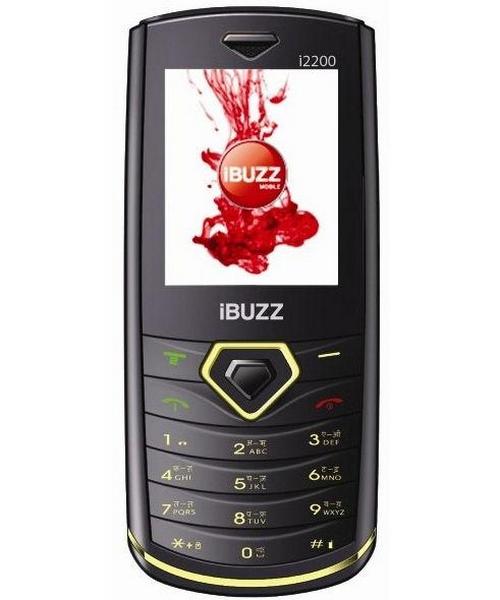 iBuzz i2200 PictureBuzz